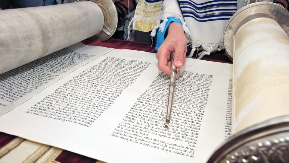 כמה סוגי ברכונים קיימים?