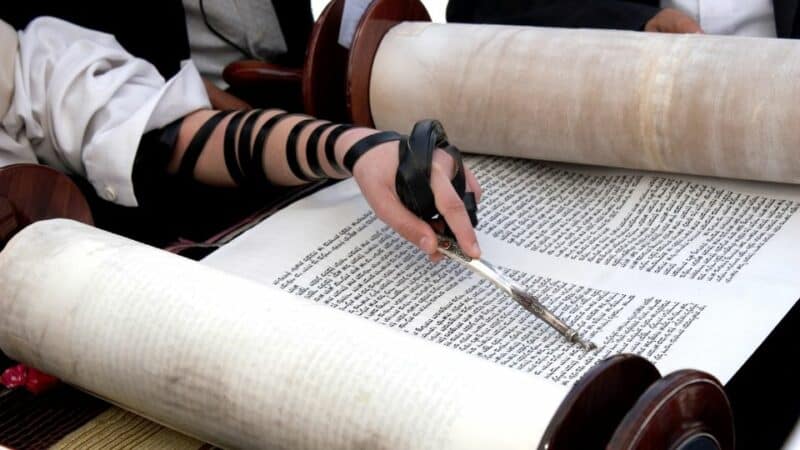 קרא את פרשת השבוע